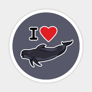 I Love Short-Finned Pilot Whales Magnet